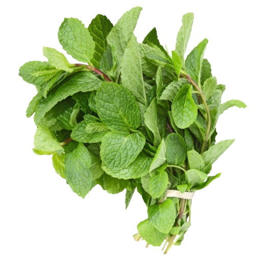 Mint leaves ( పుదీనా)