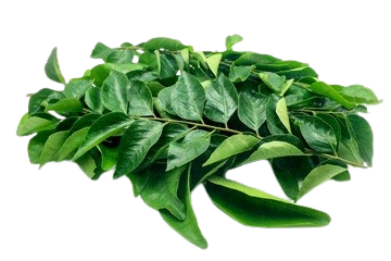 Curry Leaves / Karivepaku