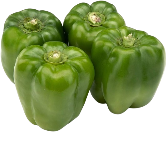 Capsicum