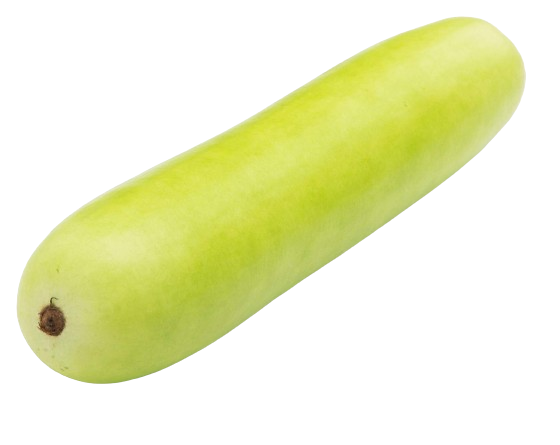 Bottle Gourd - Anapakaya -Sorakaya