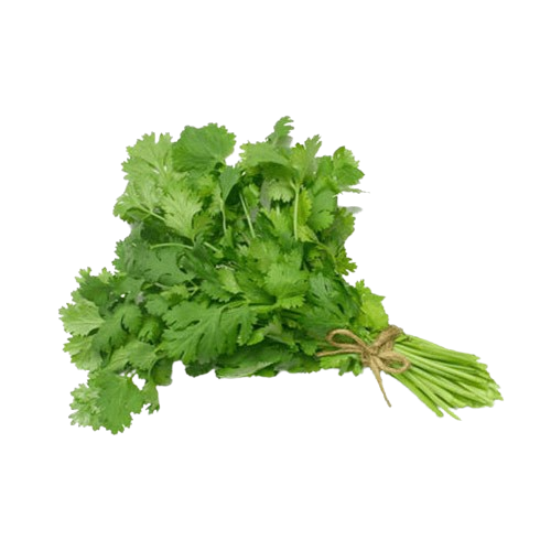 Coriander Leaves