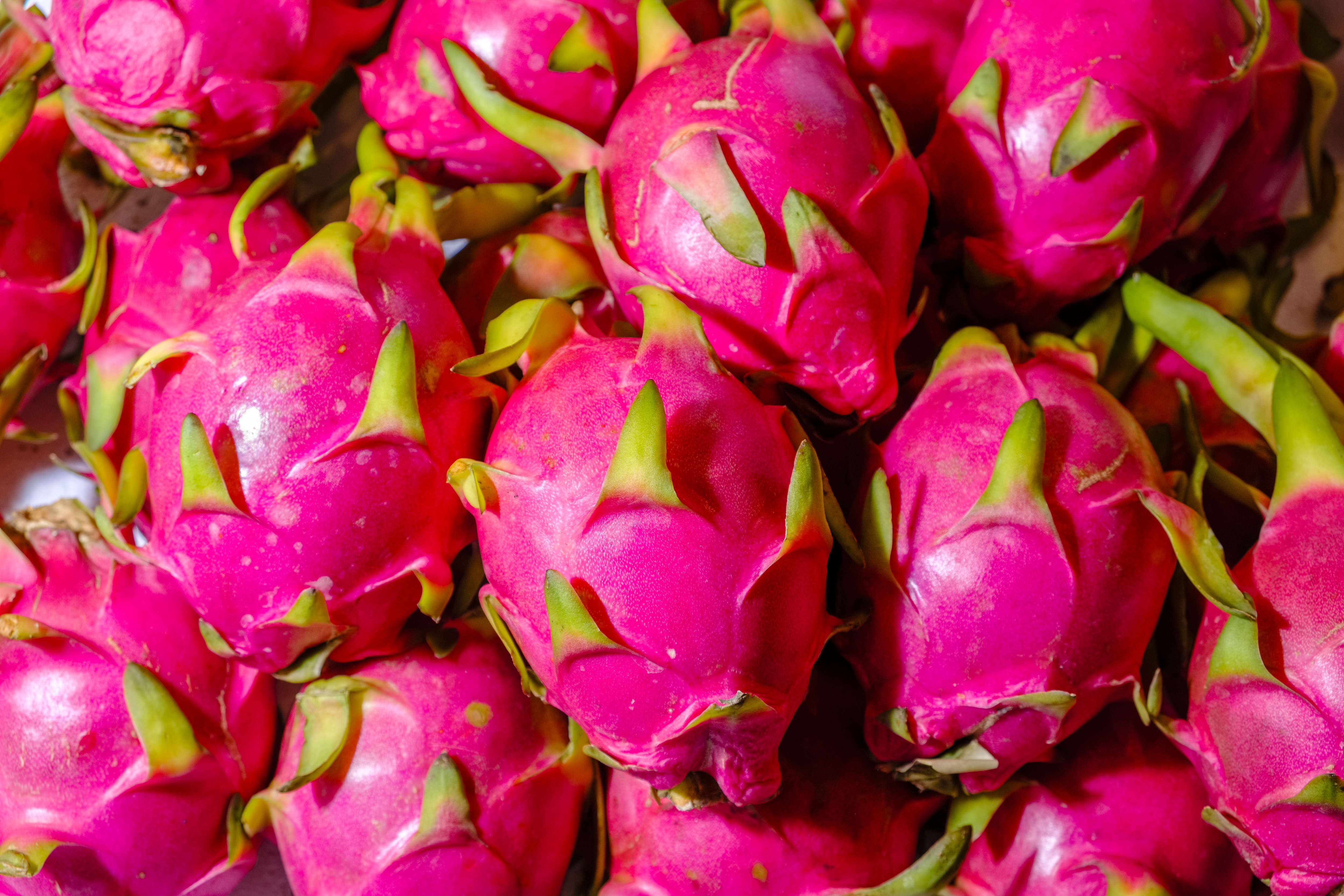 Dragon Fruit