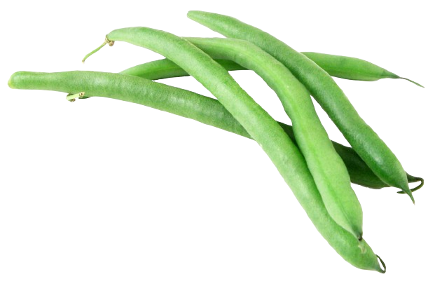 Beans