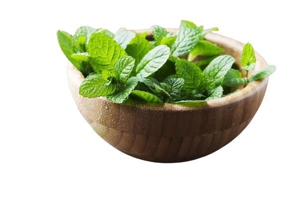 Mint leaves ( పుదీనా)