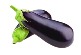 Brinjal