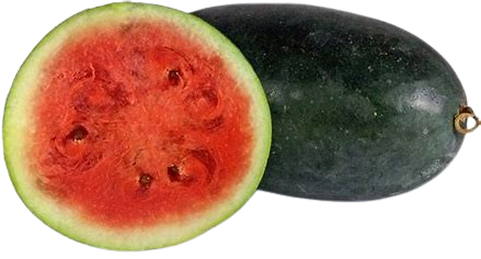 Watermelon Dark Green(1.5kg to 1.7kg)