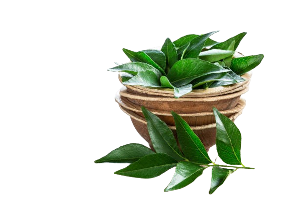 Curry Leaves / Karivepaku