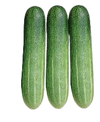 Cucumber - దోసకాయ