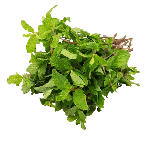 Mint leaves ( పుదీనా)