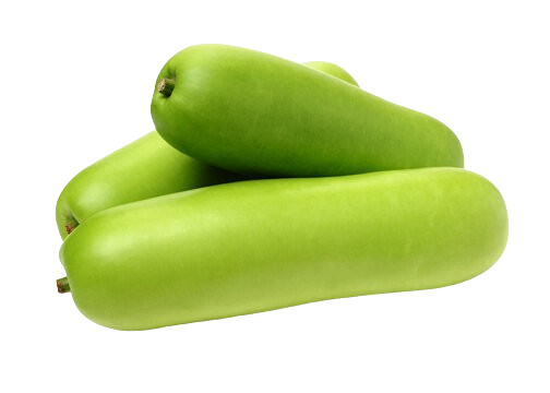 Bottle Gourd - Anapakaya -Sorakaya