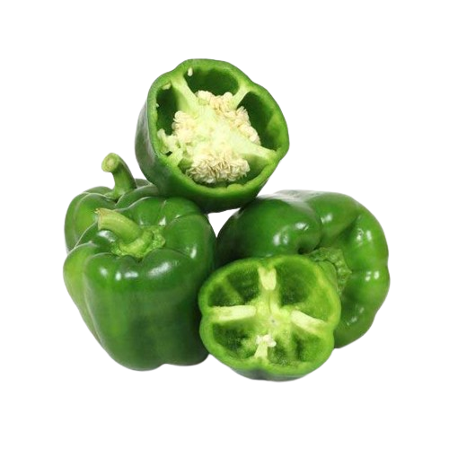 Capsicum