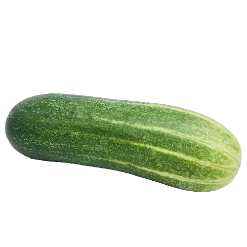 Cucumber - దోసకాయ